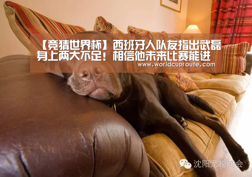 2026世界杯竞猜