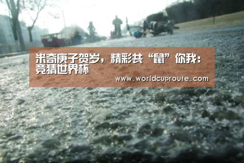 米奇庚子贺岁,精彩共“鼠”你我:竞猜世界杯(图3) 世界杯竞猜平台官网