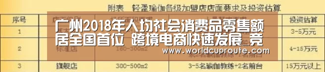 广州2018年人均社会消费品零售额居全国首位 跨境电商快速发展_竞猜世界杯