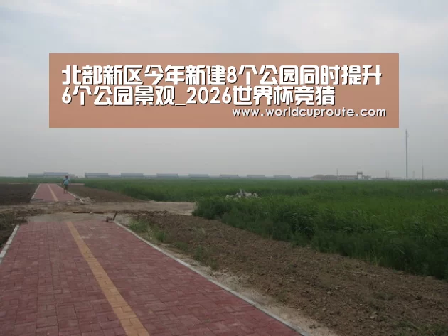 北部新区今年新建8个公园同时提升6个公园景观_2026世界杯竞猜